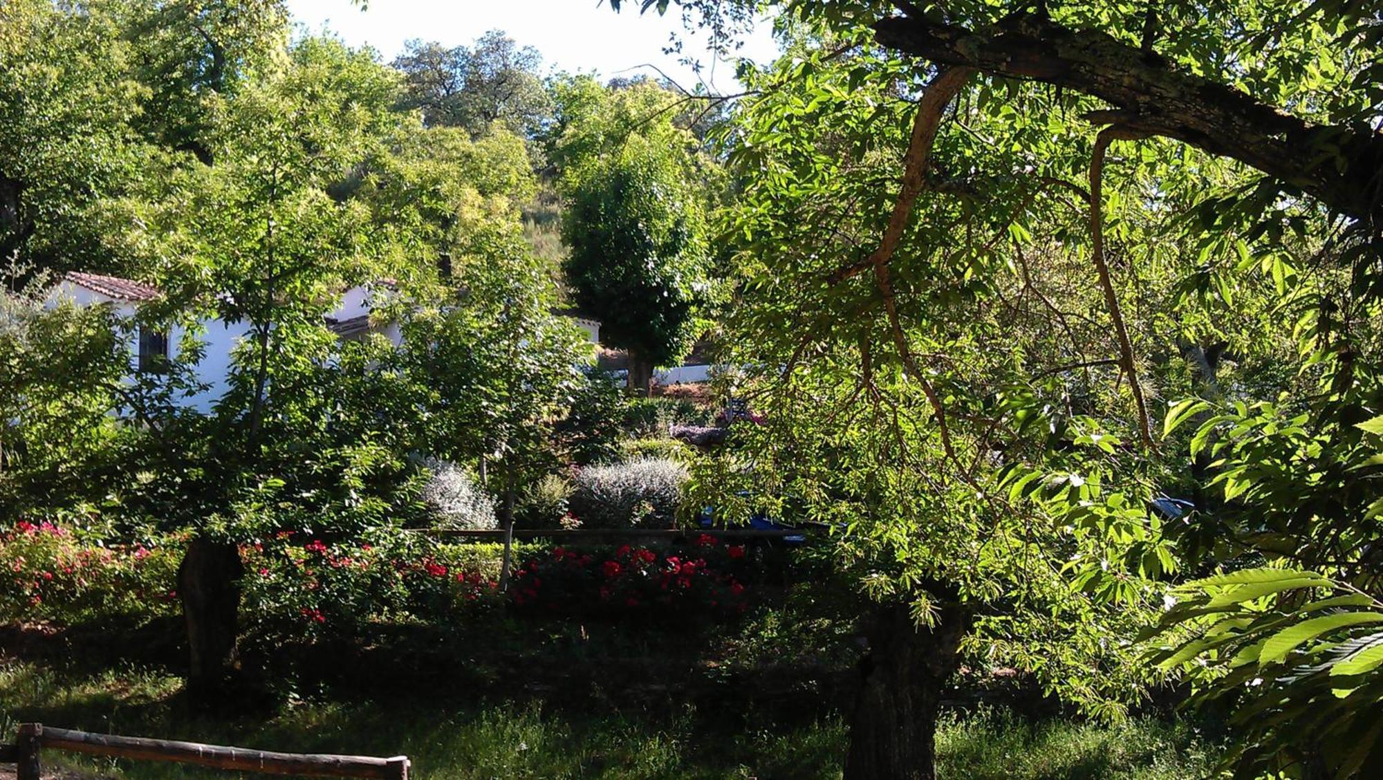Finca Valbono Apartamentos Rurales Y Hotel Aracena Bagian luar foto